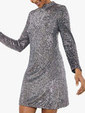 Velvet Sequin Mini Dress